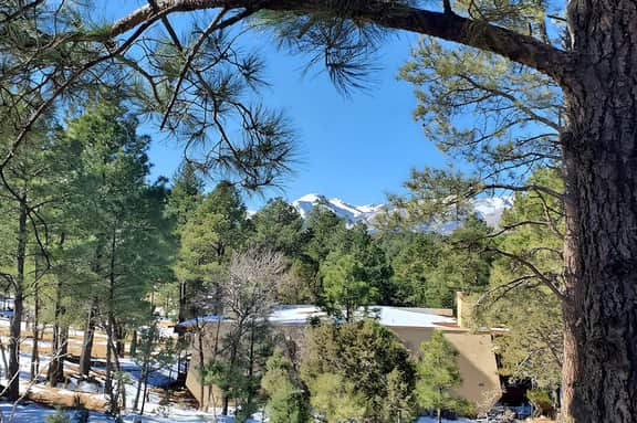 Roberts Retreat